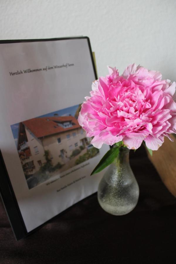 Winzerhof Senn Apartment Vogtsburg Bagian luar foto