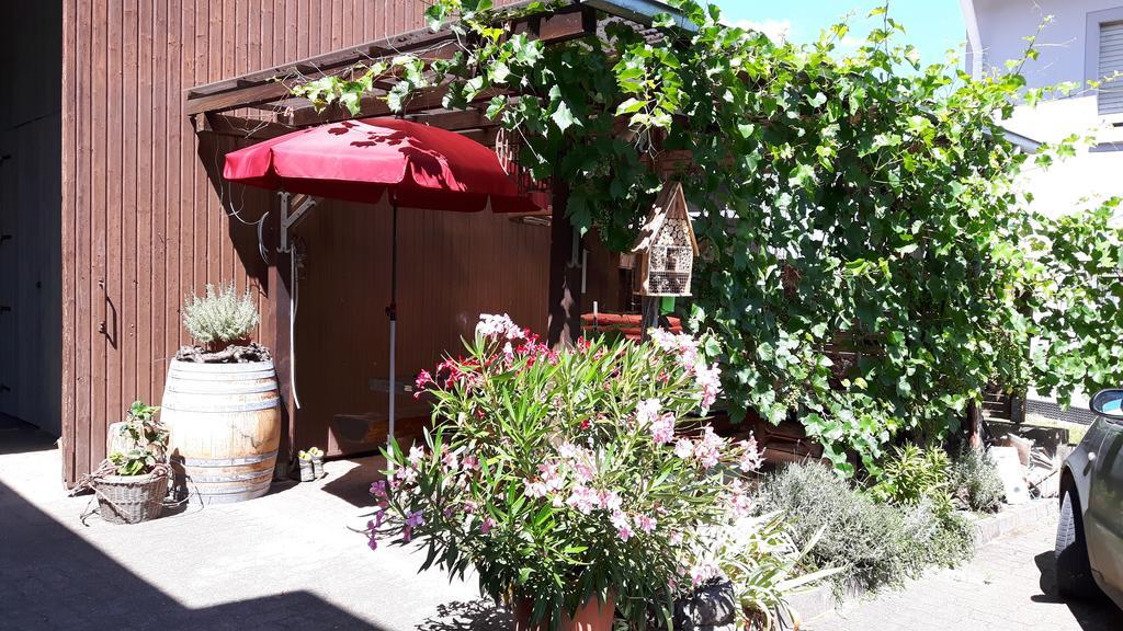 Winzerhof Senn Apartment Vogtsburg Bagian luar foto